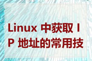 Linux 中获取 IP 地址的常用技巧