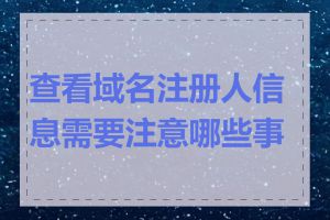 查看域名注册人信息需要注意哪些事项