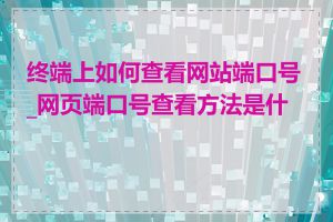 终端上如何查看网站端口号_网页端口号查看方法是什么