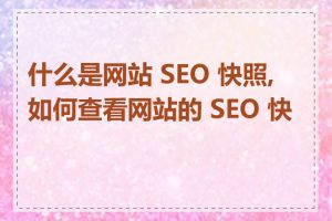 什么是网站 SEO 快照,如何查看网站的 SEO 快照