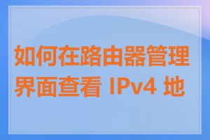 如何在路由器管理界面查看 IPv4 地址