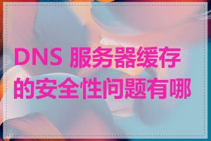 DNS 服务器缓存的安全性问题有哪些