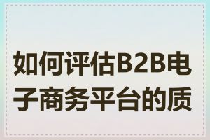 如何评估B2B电子商务平台的质量