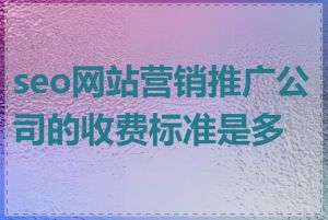 seo网站营销推广公司的收费标准是多少