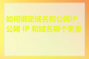 如何绑定域名和公网IP_公网 IP 和域名哪个更重要