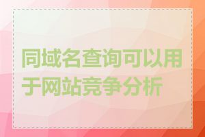 同域名查询可以用于网站竞争分析吗