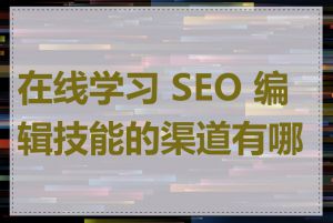 在线学习 SEO 编辑技能的渠道有哪些