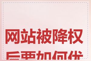 网站被降权后要如何优化