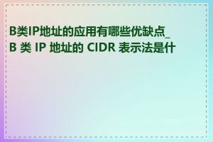 B类IP地址的应用有哪些优缺点_B 类 IP 地址的 CIDR 表示法是什么