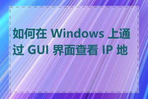 如何在 Windows 上通过 GUI 界面查看 IP 地址