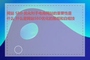 网站 SEO 优化对于电商网站的重要性是什么_什么是网站SEO优化的黑帽和白帽技术