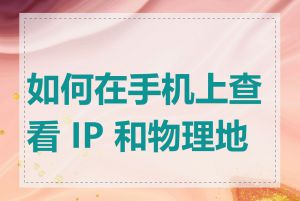 如何在手机上查看 IP 和物理地址