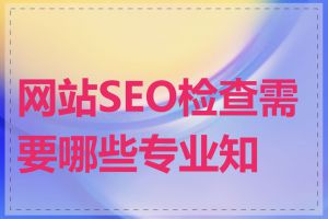 网站SEO检查需要哪些专业知识