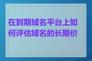 在到期域名平台上如何评估域名的长期价值