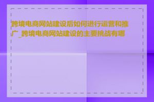 跨境电商网站建设后如何进行运营和推广_跨境电商网站建设的主要挑战有哪些