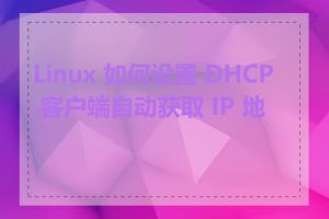 Linux 如何设置 DHCP 客户端自动获取 IP 地址