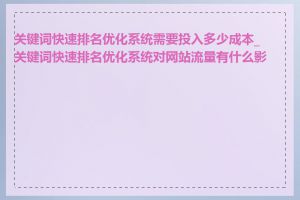 关键词快速排名优化系统需要投入多少成本_关键词快速排名优化系统对网站流量有什么影响