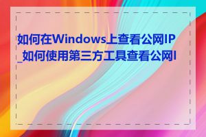 如何在Windows上查看公网IP_如何使用第三方工具查看公网IP