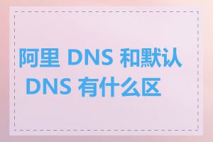 阿里 DNS 和默认 DNS 有什么区别