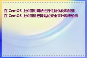 在 CentOS 上如何对网站进行性能优化和加速_在 CentOS 上如何进行网站的安全审计和渗透测试