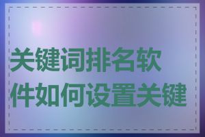 关键词排名软件如何设置关键词