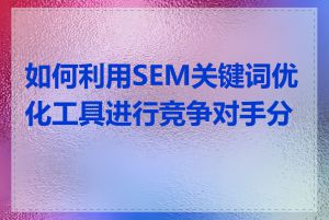 如何利用SEM关键词优化工具进行竞争对手分析