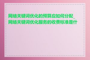 网络关键词优化的预算应如何分配_网络关键词优化服务的收费标准是什么