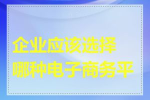 企业应该选择哪种电子商务平台