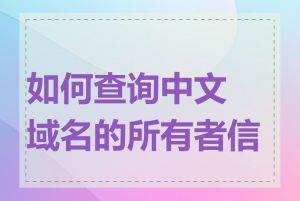 如何查询中文域名的所有者信息