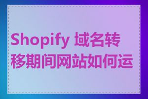 Shopify 域名转移期间网站如何运营