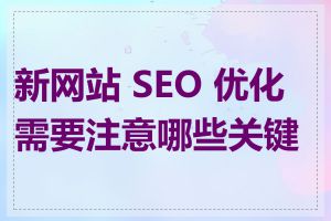 新网站 SEO 优化需要注意哪些关键点