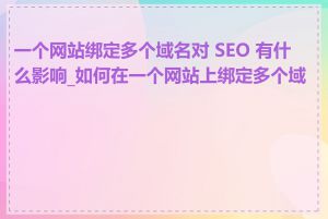 一个网站绑定多个域名对 SEO 有什么影响_如何在一个网站上绑定多个域名