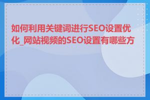 如何利用关键词进行SEO设置优化_网站视频的SEO设置有哪些方法