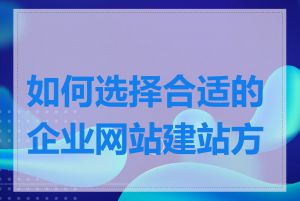 如何选择合适的企业网站建站方案