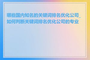 哪些国内知名的关键词排名优化公司_如何判断关键词排名优化公司的专业度