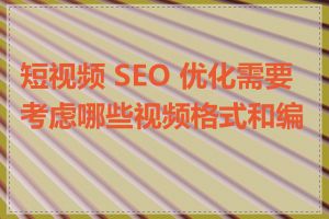 短视频 SEO 优化需要考虑哪些视频格式和编码