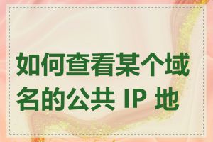 如何查看某个域名的公共 IP 地址