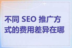 不同 SEO 推广方式的费用差异在哪里