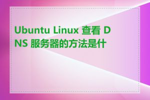 Ubuntu Linux 查看 DNS 服务器的方法是什么