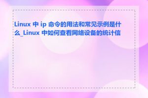 Linux 中 ip 命令的用法和常见示例是什么_Linux 中如何查看网络设备的统计信息