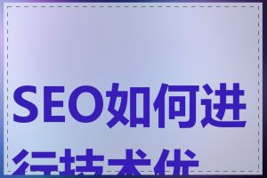 SEO如何进行技术优化