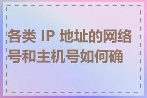 各类 IP 地址的网络号和主机号如何确定