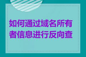 如何通过域名所有者信息进行反向查询