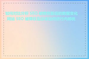 如何对比分析 SEO 被降权前后的数据变化_网站 SEO 被降权后应该如何进行内部优化