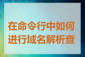 在命令行中如何进行域名解析查询