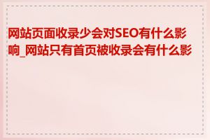 网站页面收录少会对SEO有什么影响_网站只有首页被收录会有什么影响