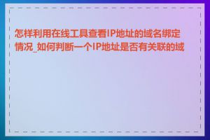 怎样利用在线工具查看IP地址的域名绑定情况_如何判断一个IP地址是否有关联的域名