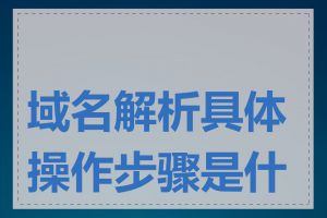 域名解析具体操作步骤是什么