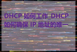 DHCP 如何工作_DHCP 如何确保 IP 地址的唯一性