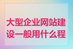 大型企业网站建设一般用什么程序